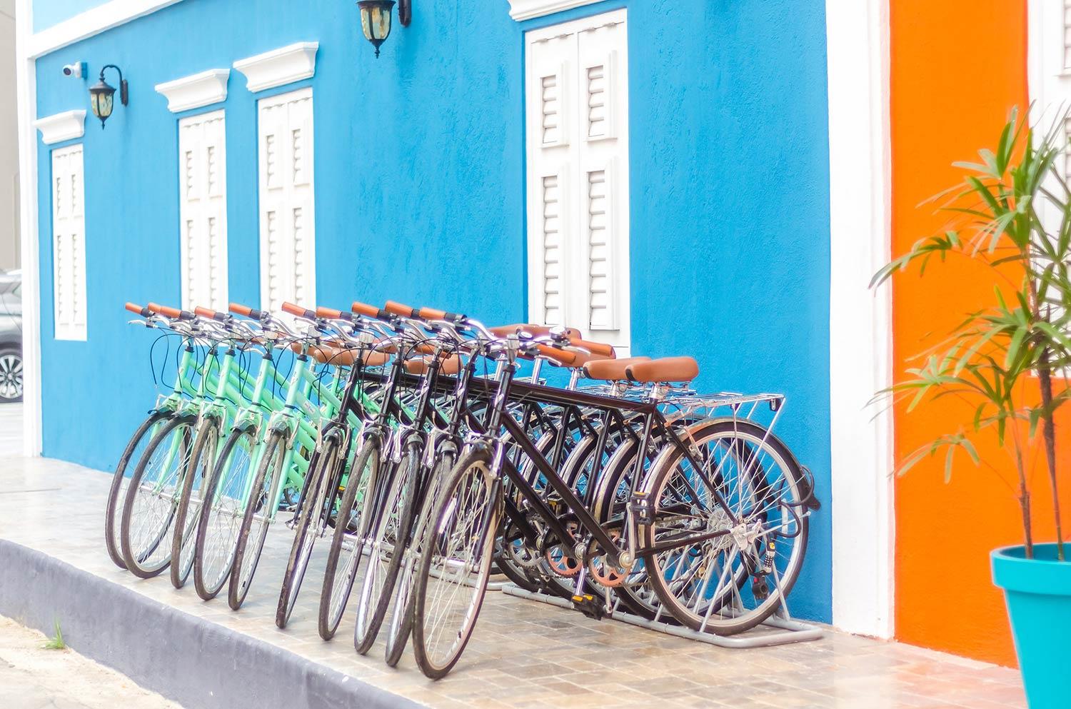 bedbike-526-min-1773243289b4f1337800dcb8e4a5e6ee4eedea2167f81ac646