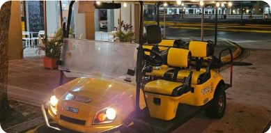 Desarrollo Empresarial y Cultural - TransportaciÃ³n